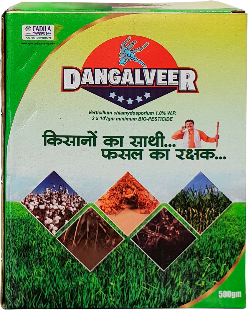 Dangalveer