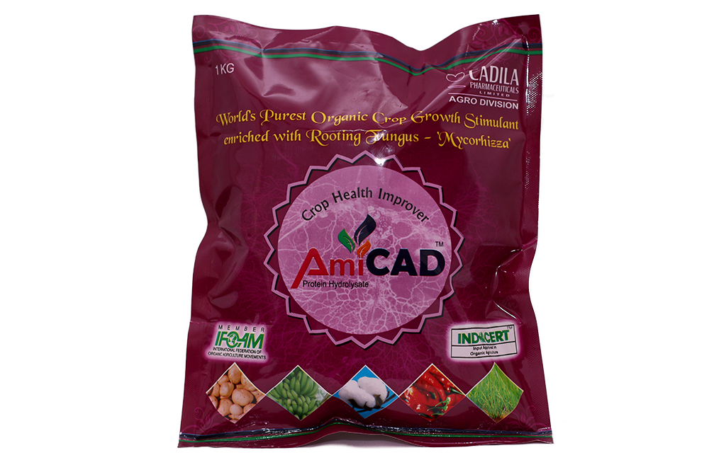 ami-cad