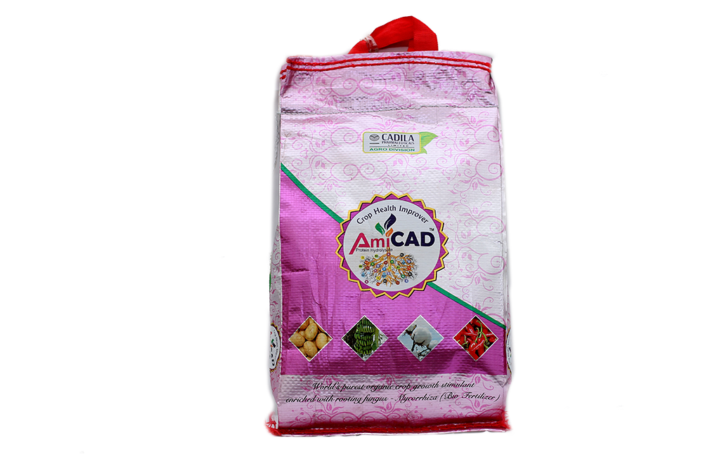 ami-cad