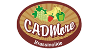 cadmore-logo