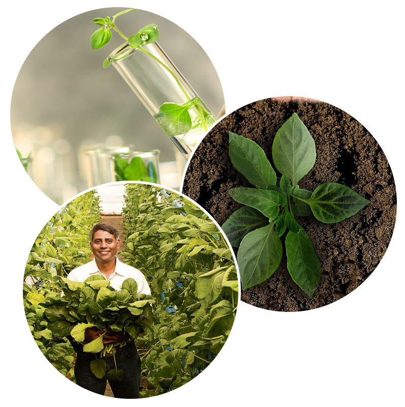 products-development