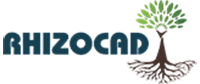 rhizocad