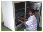 Tray Dryer